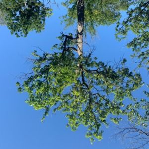 Meet your Posher, Bogdan